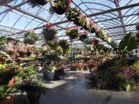 greenhouse 2012 037